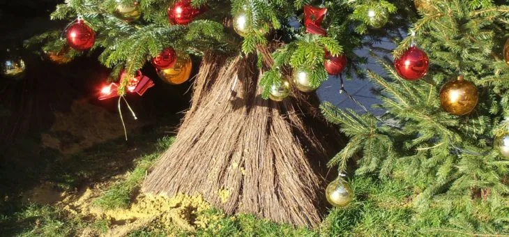 De la brande pour le jasmin